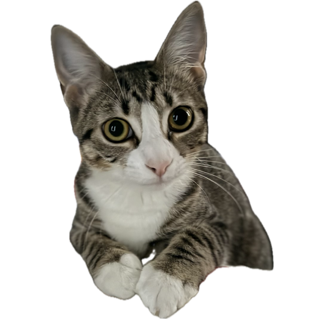Salt being adorable